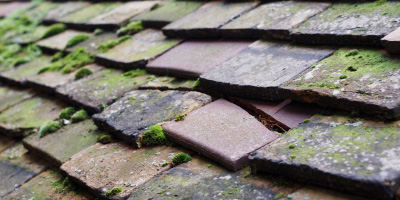 Mayfield roof repair costs